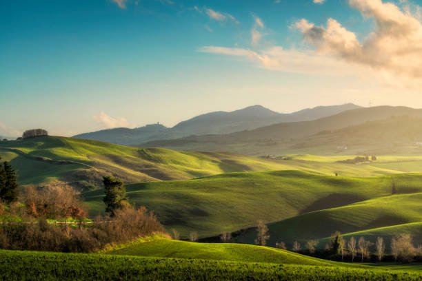 Colline della Val d'Era al tramonto, nei pressi di Lajatico