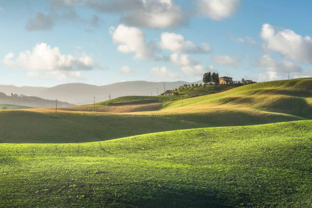 Dolci colline nella campagna di Lajatico
