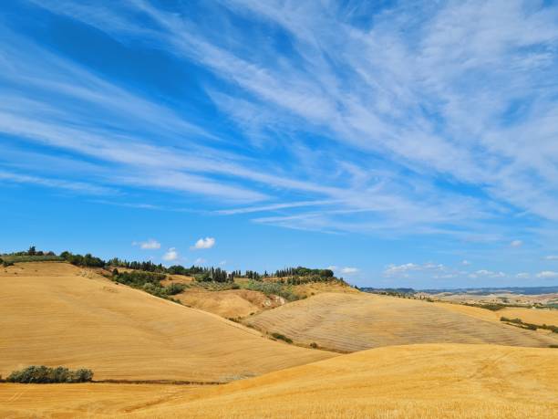 Paesaggio rurale estivo nella campagna di Lajatico